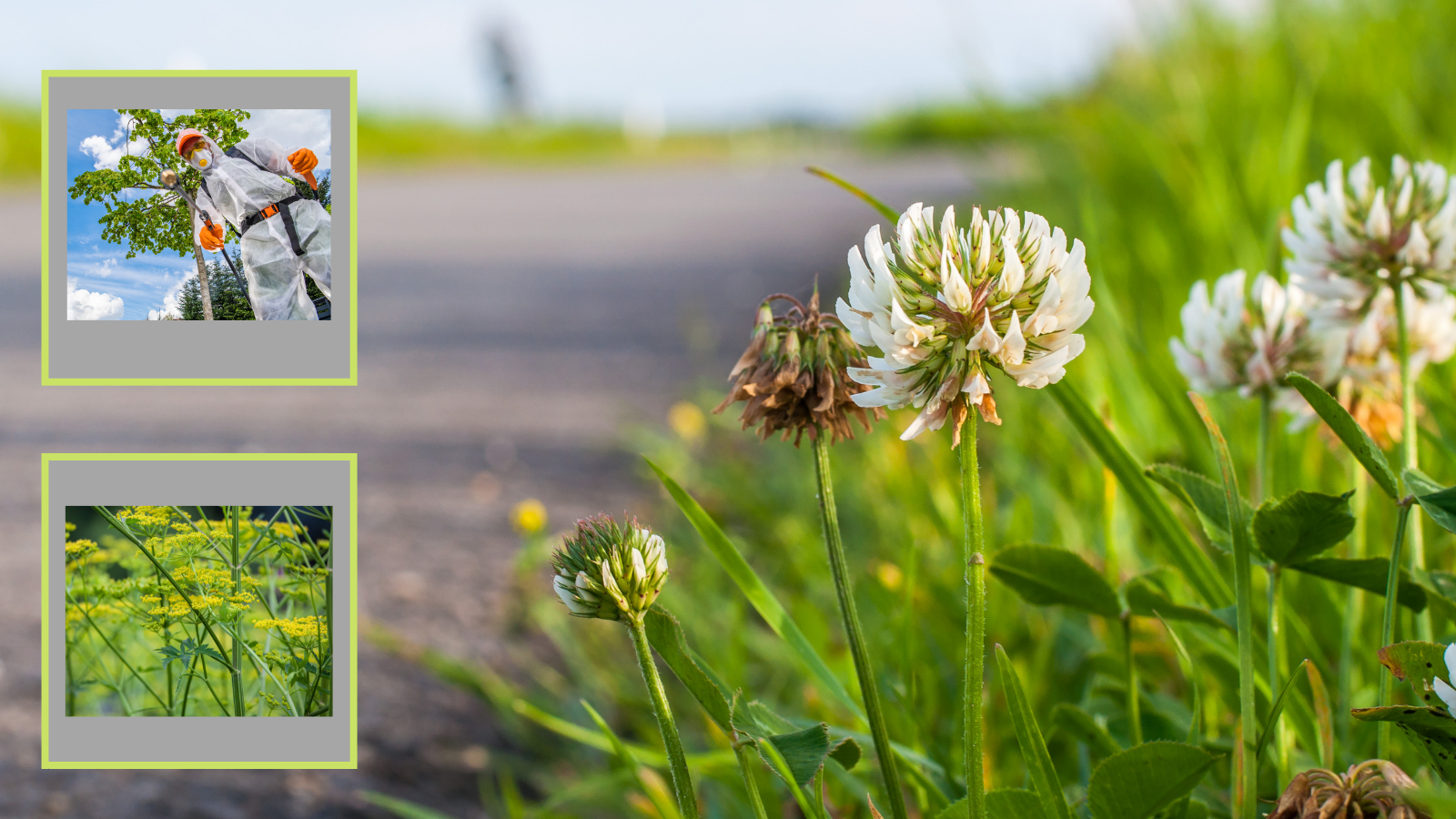 2022 Roadside Weed Spraying