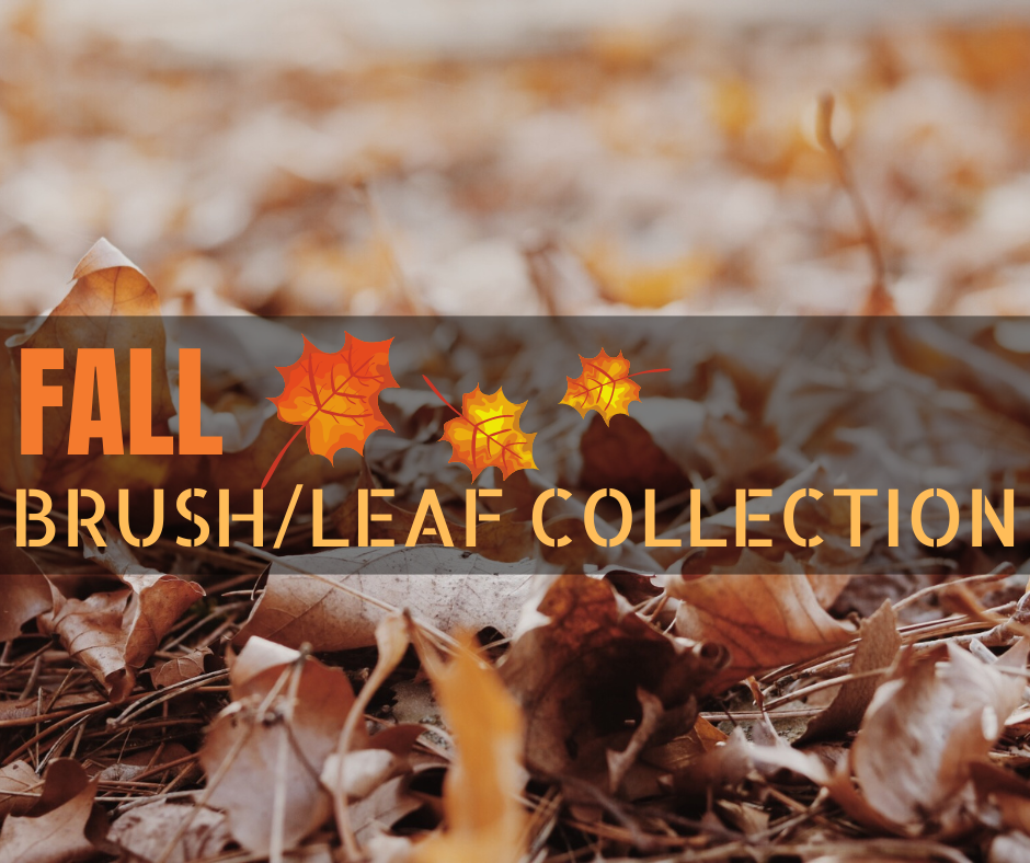 2022 Fall Brush/Leaf Collection