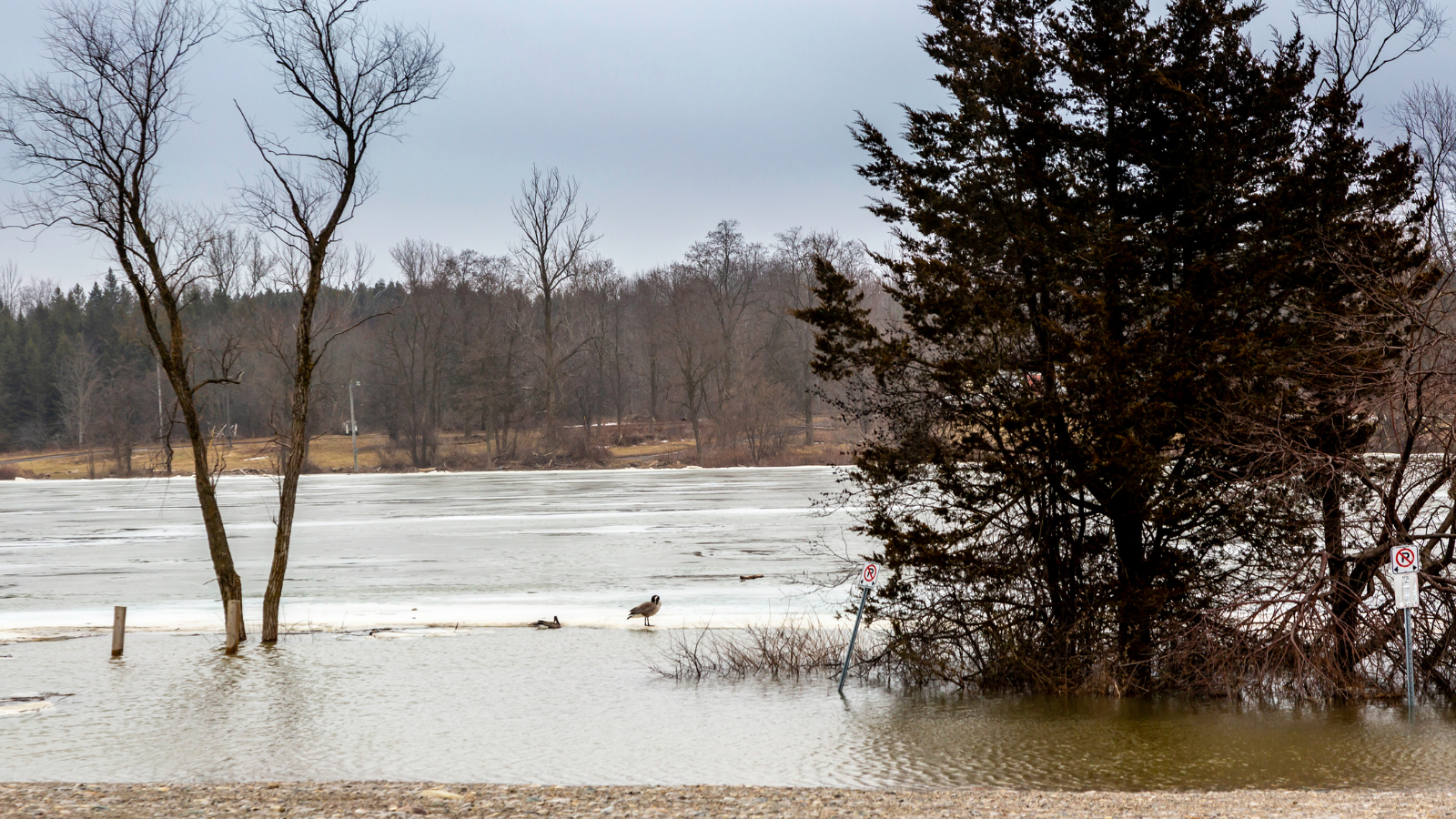 water rising