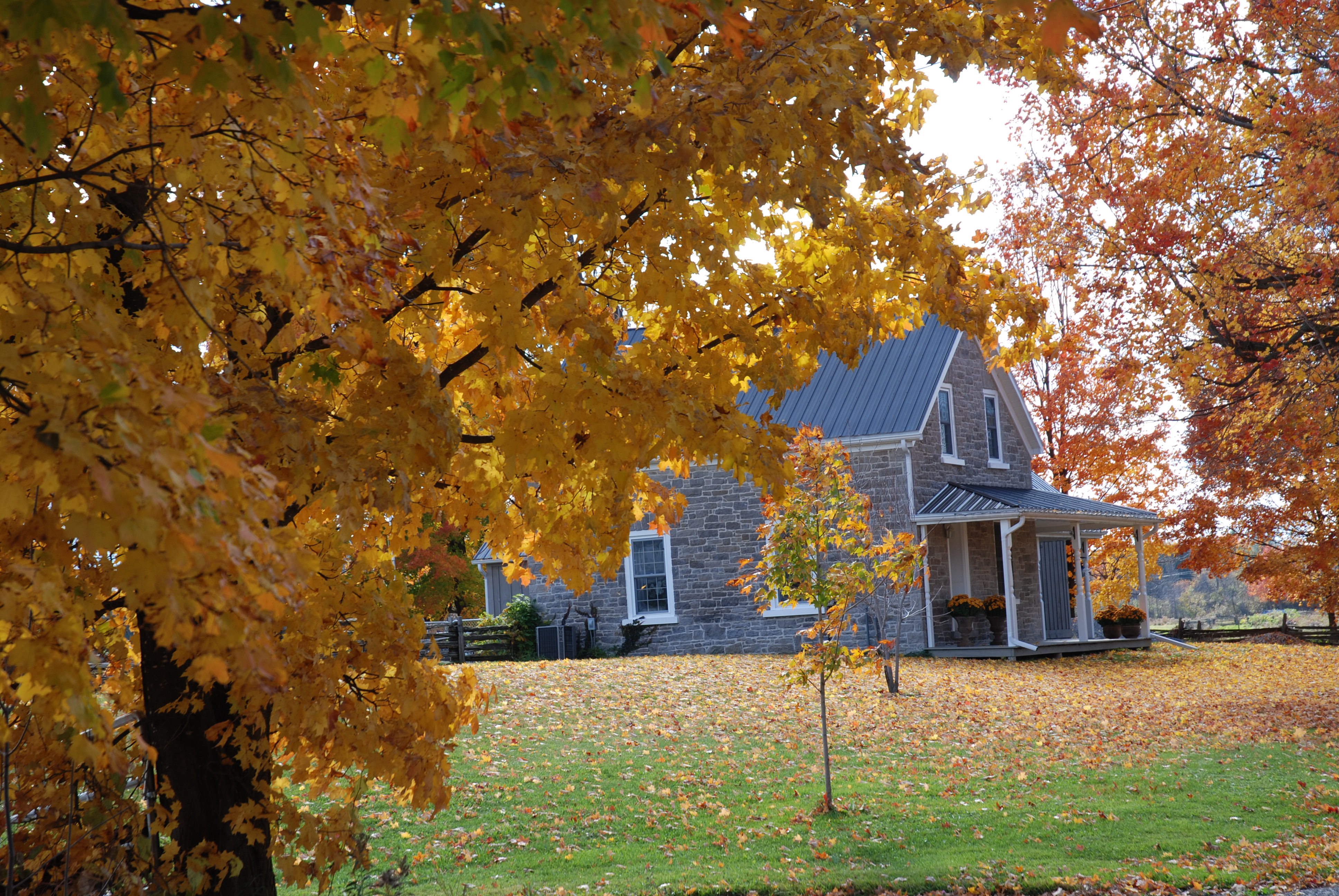 Red and orange autumn leaves in front of stone house