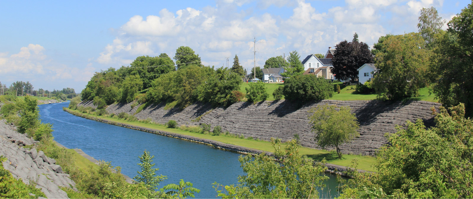 Riverbank landscape