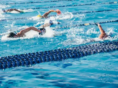Swimmers doing front crawl in marked swimming lanes.