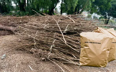 branches and twigs tied in bundles with paper yards waste bags in front