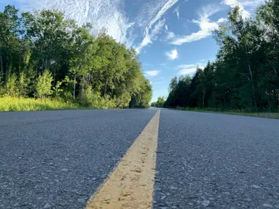 a paved road lined with trees