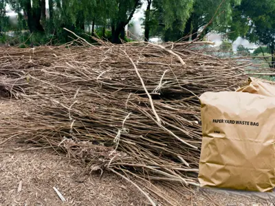 Bundles of tree branches tied with twine stacked on the ground beside two large brown paper yard waste bags.
